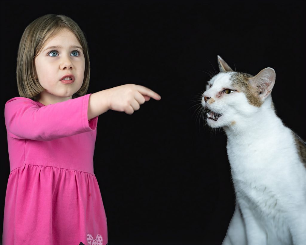 Composite image using two photos, one of a little girl with brown hair wearing a pink dress with a black spider pointing her finger to the right and a white and brown cat with a shocked face. This was made for a T-shirt. Lyssa Benavidez Photography Elkhorn, NE Lyssab.com Composite photography 