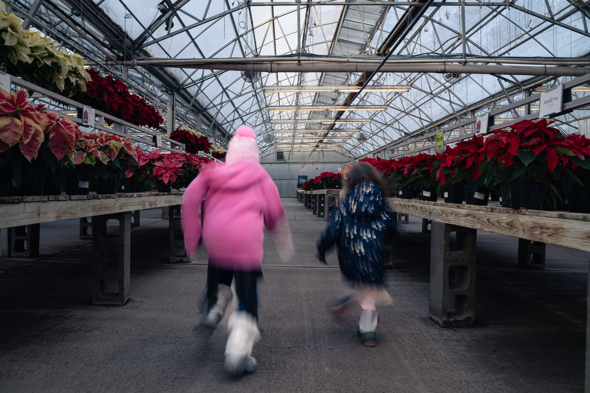 Portrait of two girls running down an aisle together causing intentional motion blur with plants in the background. Lyssa Benavidez Photography Elkhorn, NE Lyssab.com Lifestyle family photography